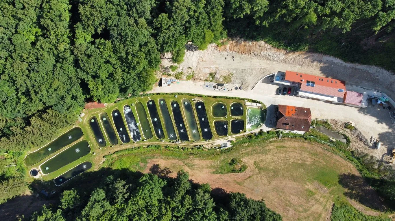Luftbild der Fischzucht Grasse mit den Teichen und Gebäuden im Schneemühltal.