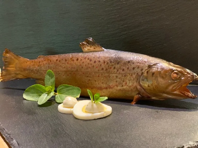 Geräucherte Regenbogenforelle mit deutlich sichtbarer Tüpfelung und rötlichem Seitenstreifen, angerichtet mit Kräutern und Ei-Hälften.